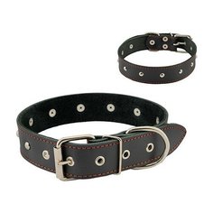Ошейник для собак "Homepet", двойной простроченный, с украшениями (натуральная кожа), цвет: черный, 35 мм x 49-61 см