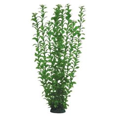 Laguna Растение для аквариума "Людвигия" (зеленое), 55 см