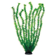 Laguna Растение для аквариума "Адонис", 55 см