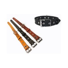 Ошейник Дарэлл "Стандарт", кожаный, 1 слой, безразмерный, 30 мм х 62 см