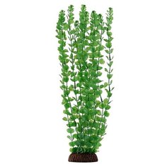 Laguna Растение для аквариума "Бакопа", 46 см