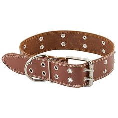 Ошейник для собак "Homepet", простроченный, с украшениями (натуральная кожа), цвет: коричневый, 45 мм x 59-71 см