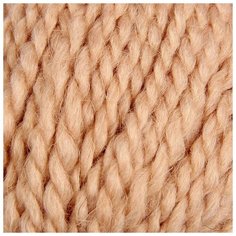 Пряжа Пехорка "Северная", 50 метров, 10 мотков по 50 грамм, цвет: 124 песочный