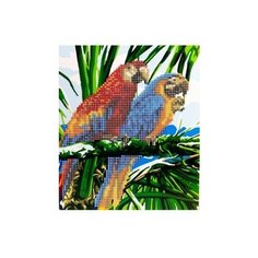 Алмазная мозаика "Myart. Яркие попугаи", 21х25 см (с частичным заполнением, на картоне) Рыжий кот