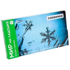 Набор карточек Умница Мир на ладошке. Загадки природы 18x10 см 24 шт.