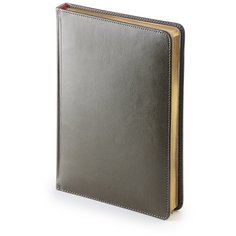 Ежедневник Альт Sidney Nebraska недатированный, искусственная кожа, А5, 272 листов, серый