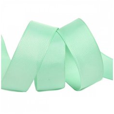 Лента Ideal репсовая в рубчик шир.25мм цв. F199 мятный уп.27,42м