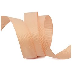 Лента Ideal репсовая в рубчик шир.20мм цв. 813 пудровый уп.27,42м