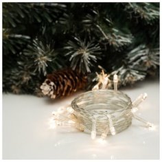 Гирлянда Luazon Lighting Нить, 2 м, 20 LED, свечение теплое, белое, 2 режима (MT. ECO. IP20. BT.01.01.1.03)