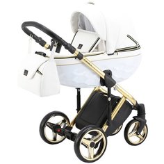 Универсальная коляска Adamex Chantal Special Edition Deluxe (3 в 1), C101, цвет шасси: золотистый
