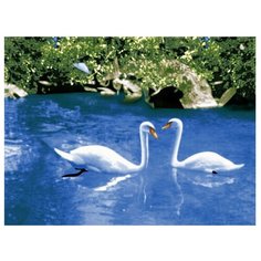 Плед Guten Morgen Лебеди, 130 х 170 см, синий/зеленый/белый