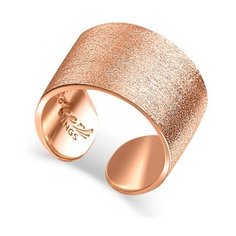 Silver WINGS Кольцо из серебра 21nlmattpgp-198, размер 16