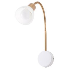 Спот Arte Lamp Falena A3116AP-1WH
