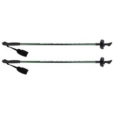 Палки для скандинавской ходьбы 2 шт. Larsen Tracker 90-135 см зеленый