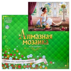 Алмазная мозаика Рыжий кот 40*50 см, "Милая балерина с цветами", c подрамником (ACD5024)