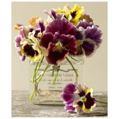 Набор алмазной мозаики "Анютины глазки", размер 42х50см, 53 цвета Яркие Грани