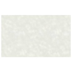 Обои HC71671-14 HomeColor Paradigma 1,06м х 10,05м винил на флизелине