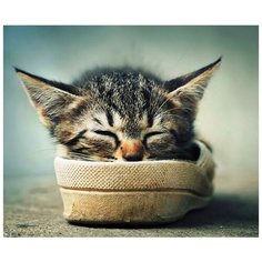 Набор алмазной вышивки "Я в домике", размер 50х40см, 47 цветов Яркие Грани