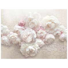 Фотообои 3D RС-008 300*270 песок