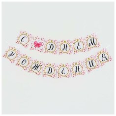 Гирлянда бумажная «С днём рождения», маленькая мисс Страна Карнавалия