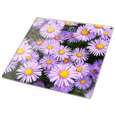 Весы электронные Home Element HE-SC904 Альпийская астра