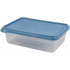 Контейнер BERGEN 2,6л туманно- голубой Plast Team