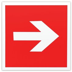 Знак Фолиант Направляющая стрелка F01-01 Foliant