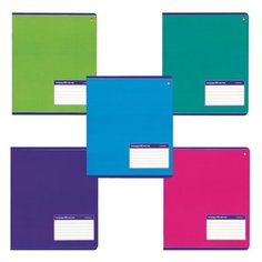 Альт Тетрадь Классика 7-48-899/2, линейка, 48 л.