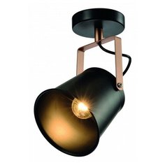 Спот Rivoli Acuto Б0044767