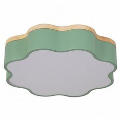 Накладной светильник Escada 10208 10208/1LED (Green)