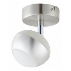 Спот TopLight Doreen TL1241Y-01SN