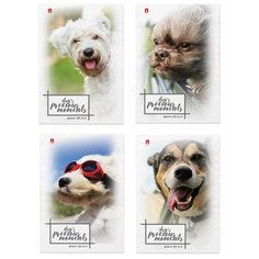 Блокнот А7, 40 л скоба, ламинированный картон, клетка, Альт, "Щеночки", (4 вида), 3-40-107