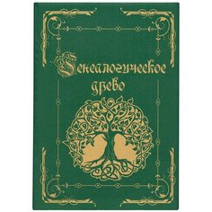 Папка "Генеалогическое древо", формат А4, 60 листов, твердый переплет, вкладыш А2, лента, ГДР-6 Foliant