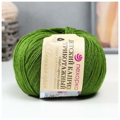 Пехорский текстиль Пряжа "Детский каприз трикотажный" 50%мер. шерсть, 50% фибра 400м/50гр (434- Зелёный) Пехорка