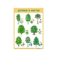 Плакат Мозаика-Синтез Развивающие плакаты. Деревья и листья желтый/зеленый