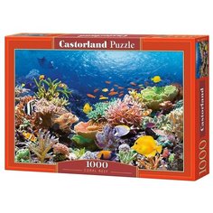 Пазл Castorland Коралловый риф, 1000 деталей (С-101511)