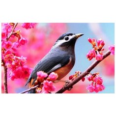 Алмазная мозаика Яркие Грани "Певец" (DS004), размер 50х32см, 53 цвета