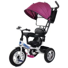 Трехколесный велосипед Pilot PTA1, фиолетовый