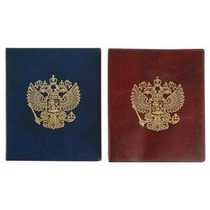 Альбом для монет на кольцах, формат Оптима 230 х 265 мм Calligrata «Герб», входит до 20 листов, обложка искусственная кожа, микс