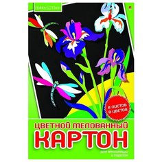 Набор цветного картона HOBBY TIME А4 (200 х 290 мм), 8 листов, 8 цветов 2 вида Альт