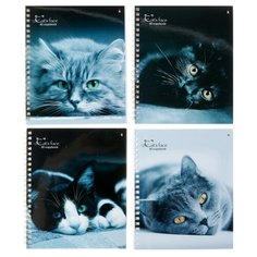 Тетрадь А5+, 80 листов в клетку на гребне «Кошки», обложка мелованный картон, глянцевая ламинация, микс Альт