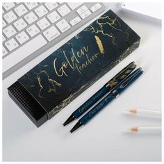 Ручки в подарочном футляре Golden teacher, 2 шт (красная и синяя паста) Art Fox