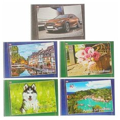 Альбом для рисования А4, 40 листов на гребне «Мир вокруг нас», обложка мелованный картон, блок 100 г/м2, перфорация на отрыв, микс Hatber