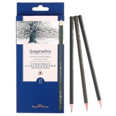 Набор карандашей чернографитных 3 мм разной твердости Graphixpro 12 штук, 2H-9B, трехгранные, в картонной коробке Bruno Visconti