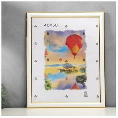 Фоторамка 40х50 см (600) пластик, кл Зебра