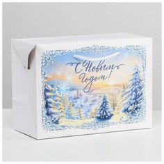 Дарите Счастье Пакет- коробка «Морозное утро», 28 ? 20 ? 13 см
