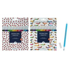 Фломастеры 18 цветов Happycolor Bruno Visconti