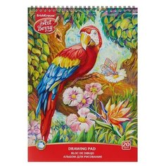 Альбом для рисования А4, 20 листов на гребне ArtBerry «Попугай», обложка мелованный картон 170 г/м2, блок 120 г/м2 Erich Krause