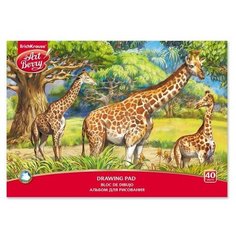 Альбом для рисования А4, 40 листов на клею ArtBerry «Саванна», обложка мелованный картон 170 г/м2, блок 120 г/м2 Erich Krause