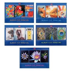 Альбом для рисования А4, 40 листов на скрепке «Я рисую мой мир», обложка мелованный картон, блок 100 г/м2, микс Hatber